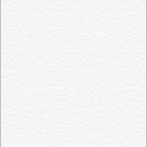 Meet your Posher, Brayden